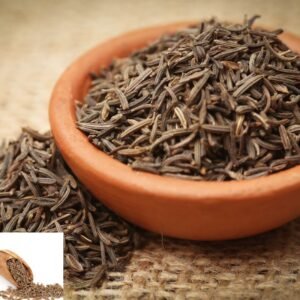 Premium Ajowan Caraway Seeds - By Bhoomi Industry Ajwain caraway