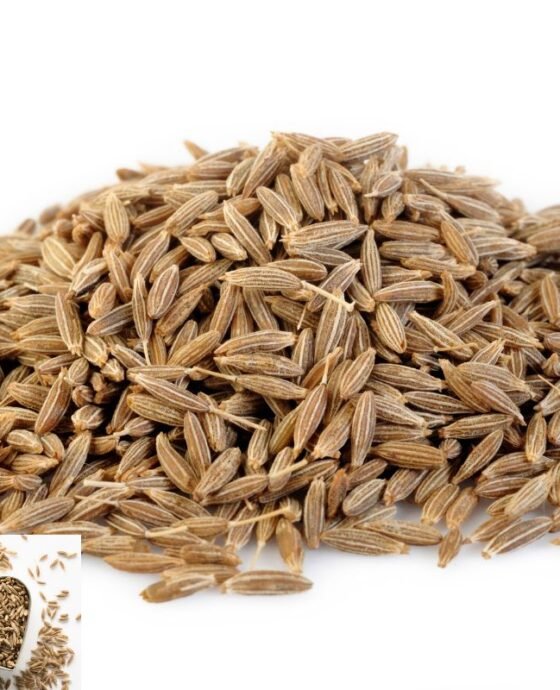 Premium Cumin Seeds