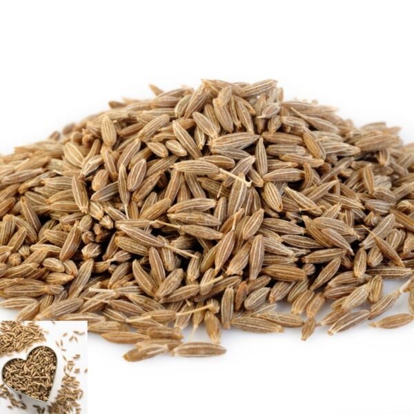 Premium Cumin Seeds - Bold Flavor & Aroma