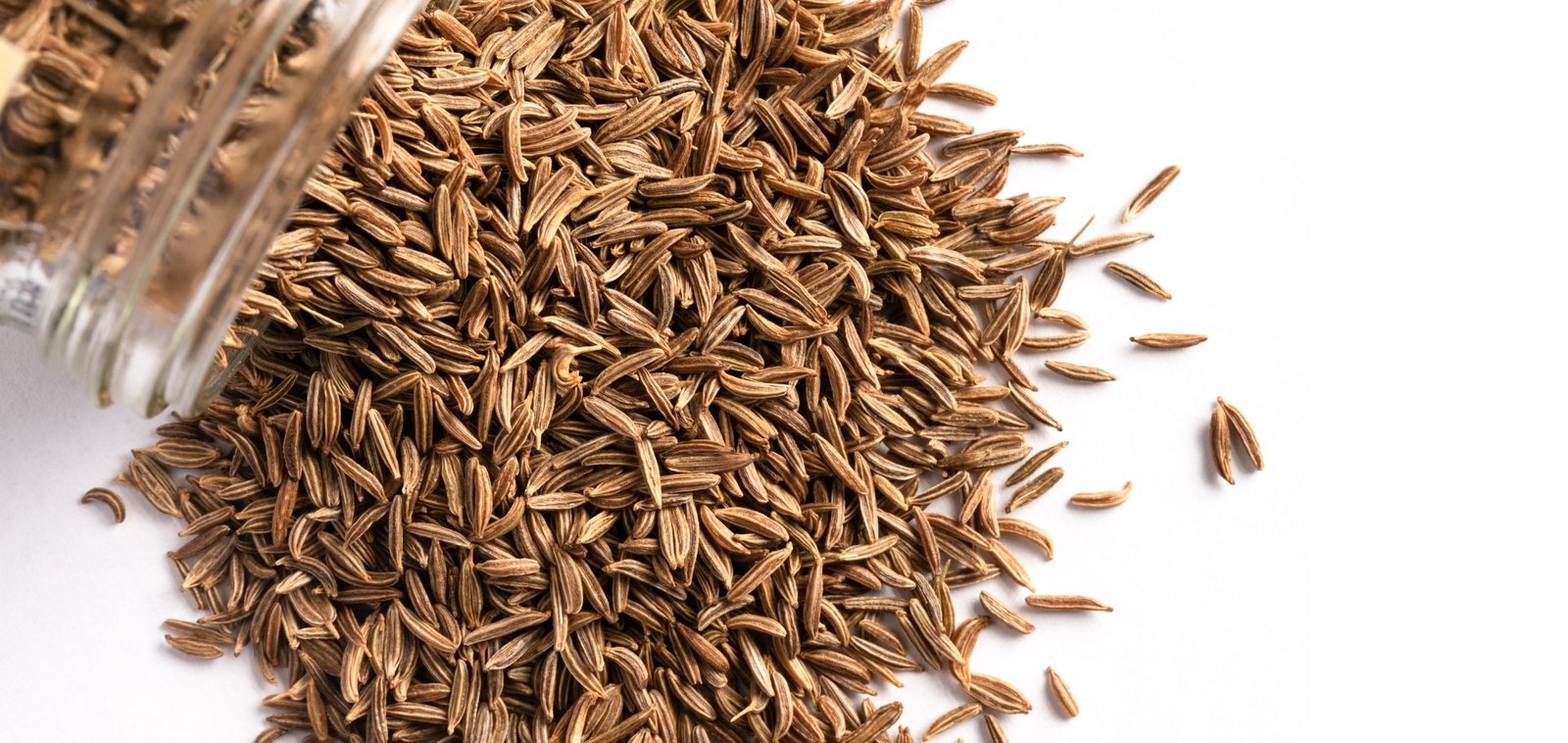 Premium Ajowan/Ajwain Caraway Seeds - By Bhoomi Industry