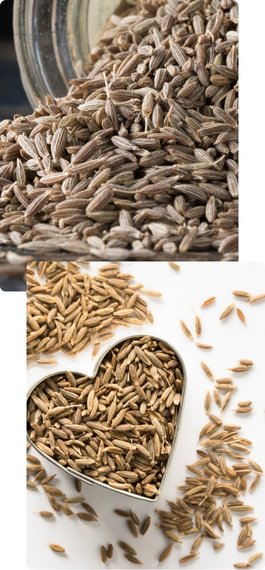 Cumin Seed / Jeera