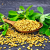 Fenugreek Seeds