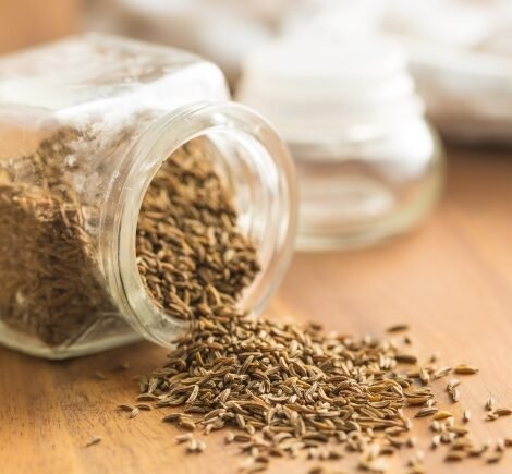 Cumin Seeds / Jeera Manufacturer, Supplier, and Exporters