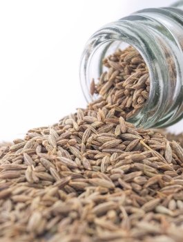 Cumin Seeds Suppliers in UAE