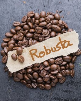 Robusta Coffee – Premium Seeds, Roasted Beans & Powder