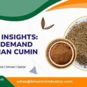Market Insights: Global Demand for Indian Cumin in 2025